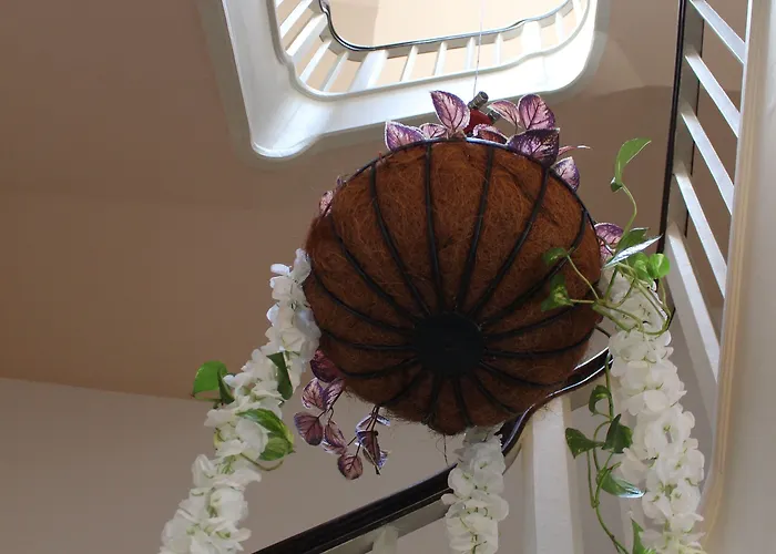 ベッド・アンド・ブレックファスト リーニャ 22 3*